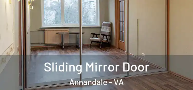  Sliding Mirror Door Annandale - VA